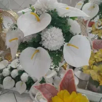 عقد وصیغه دائم وموقت همراه با دفترچه