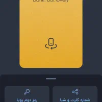 راهنمایی در نصب بلو بانک برای نوجوانان و کودکان