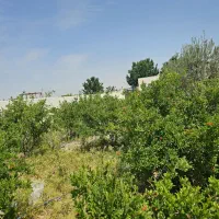 باغو-باغچه-شهرکی-چهار-دیواری-درسید-قلی