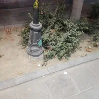 ضامن می‌خوام