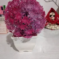 گل مصنوعی|گل مصنوعی|بشاریات, |دیوار