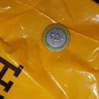 سکه ۲۵۰ ریالی دور طلایی