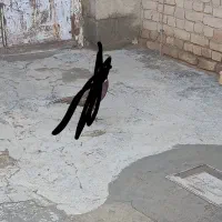 زمین مسکونی