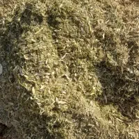 فروشه کاه لوبیا بدون خاک و نشخوار