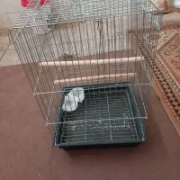 قفس کاسکویی محکم