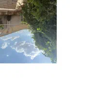 اجاره سالیانه ویلا در ماهدشت کرج ۶۰۰ متری