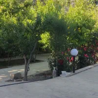 اجاره ویلا|اجارهٔ کوتاهمدت ویلا و باغ|محمدشهر, عباس آباد|دیوار