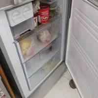 یخچال سینورازبرند خوب و صادراتی که ترانس دار|یخچال و فریزر|رشت, رودباری|دیوار