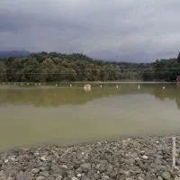 طبیعت