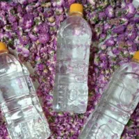 گلاب دوآتیشه خونگی