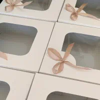 پک پذیرایی (جعبه مقوایی کاملا بهداشتی ایندربرد)