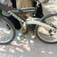 دوچرخه ۲۶