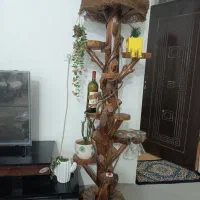 درختچه بار