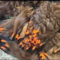 مو طبیعی و رنگ شده