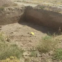 زمین کشاورزی با ۴۵۰عدد درخت گردو اسرائیلی|فروش دفتر صنعتی، کشاورزی، تجاری|چناران, |دیوار