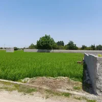 زمین آینده دار با قابلیت تفکیک مرزون آباد بابل|فروش زمین و ملک کلنگی|بابل, |دیوار