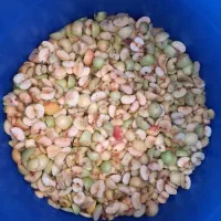 سرکه سیب خانگی|خوردنی و آشامیدنی|شیراز, شهرک مخابرات|دیوار