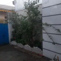 سوییت سی متری|اجارهٔ خانه و ویلا|رشت, سلیمانداراب|دیوار