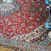 فرش نو سالم نرم|فرش|کرج, آق تپه|دیوار