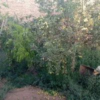 ۳۰۰متر خانه ویلا داخله بافت امتیاز کامل،املاک سجاد