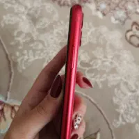 iphone11|موبایل|پرند, فاز ۶|دیوار