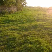 زمین قطعه بندی شده|فروش زمین و ملک کلنگی|رشت, منظریه|دیوار