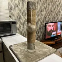 اسکرچر گربه