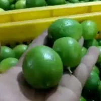 آبلیمو تازه وجدید