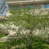 بهترین-ویلا-وباغ-در-شادباد