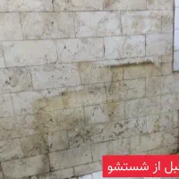 خدمات نظافت منزل و مشاعات با نظافتچی خانم و آقا|خدمات نظافت|تهران, فلسطین (میدان انقلاب)|دیوار