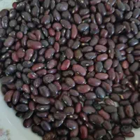 نخودممتاز۱۳۰مایع آتی۱۶۰رشته۵۵قند۷۰روغن۲۶۰پلویی۱۳۰