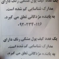 کیف پول گمشده