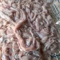کارگر برای کشتارگاه|استخدام صنعتی، فنی، مهندسی|خمینی‌شهر, |دیوار