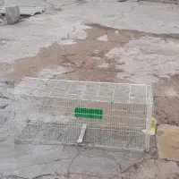 قفس سالم در حد نو