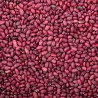 لوبیا قرمز درجه یک