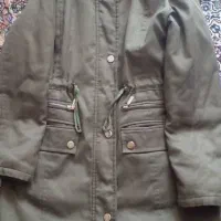 دو عدد پالتو