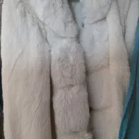 پالتوخز