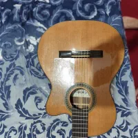 گیتار کوروبز پیکاپدار|گیتار، بیس، امپلیفایر|پرند, فاز ۶|دیوار