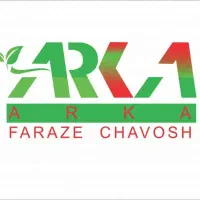 راننده نیسان