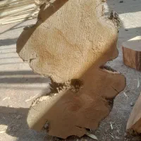 اسلب چوب برای کار رزین برای تزئینات در خدمتتیم|صنایع دستی و سایر لوازم تزئینی|قم, بیست متری ولیعصر|دیوار