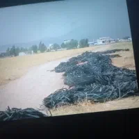 خرید