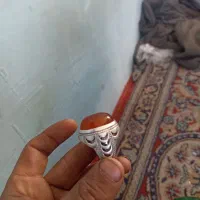 پرتقالی|جواهرات|تربت‌حیدریه, طالقانی|دیوار