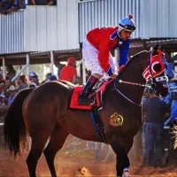 خریدار کره مادیون