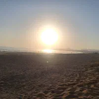 تور جزیره گردی