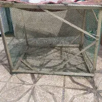 لانه پرندگان