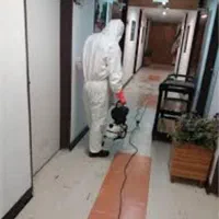 سمپاشی کنه ساس موریانه سوسک موش مورچ زنبورسمپاشی|خدمات نظافت|مشهد, وکیلآباد|دیوار