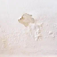 لکه گیری گچکاری