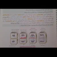 کتاب تست|کتاب و مجله آموزشی|رشت, باهنر|دیوار