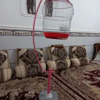 قفس مرغ عشق بسیارشیک