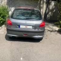 ۲۰۶ بی رنگ کم کار